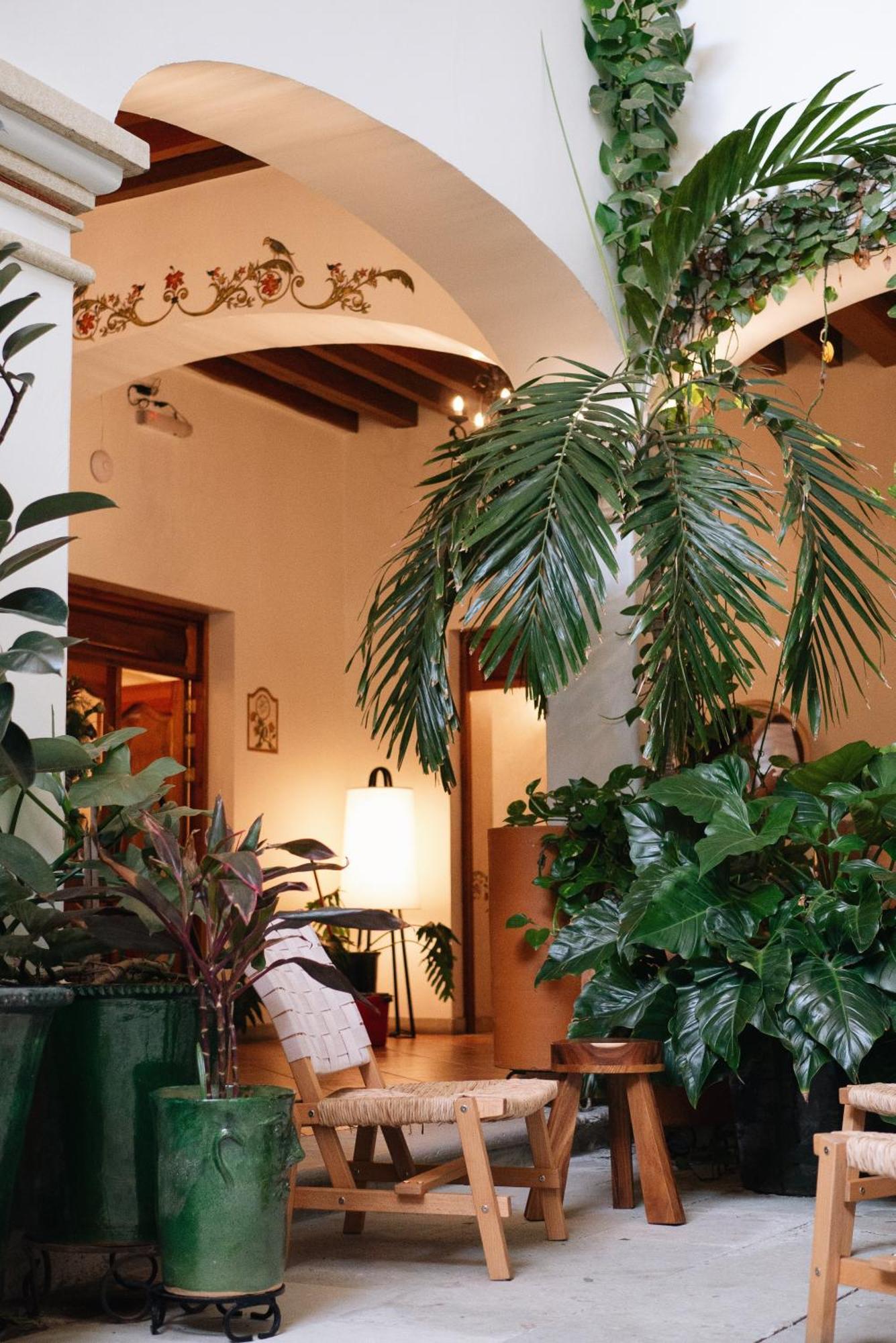 Los Pilares Hotel Oaxaca Esterno foto